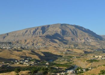 Comité Internacional de la FAU condena los ataques de Turquía y sus aliados en Irak y Siria